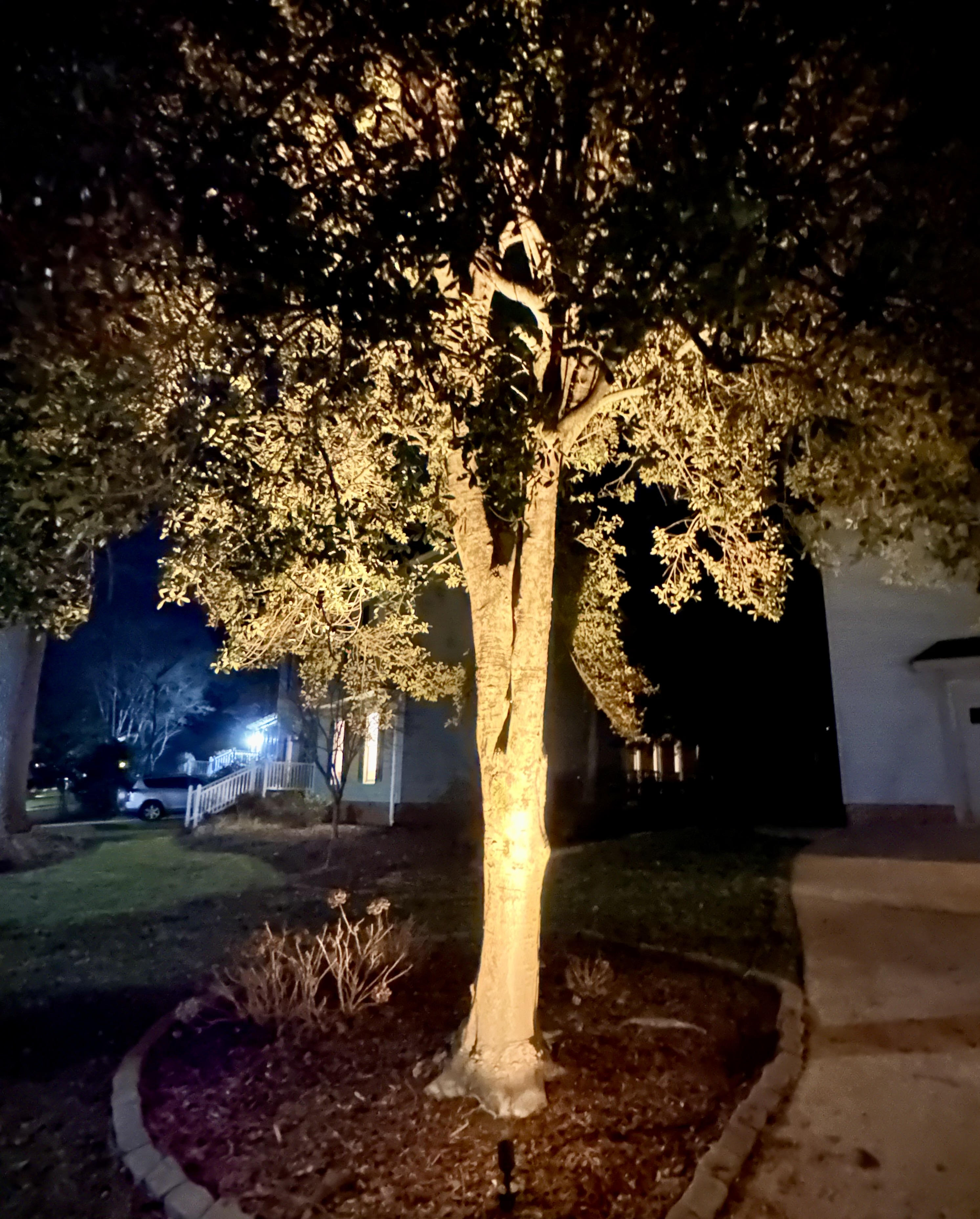Landscape lighting enhancement and expansion, Cary and Apex NC