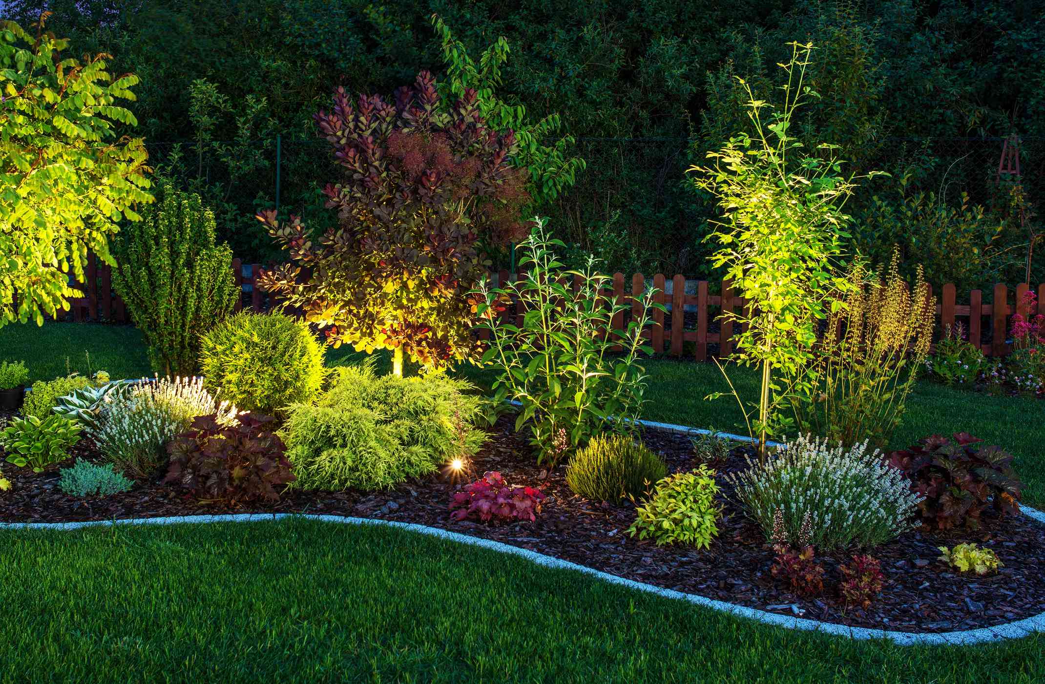 Garden bed accent lighting at night