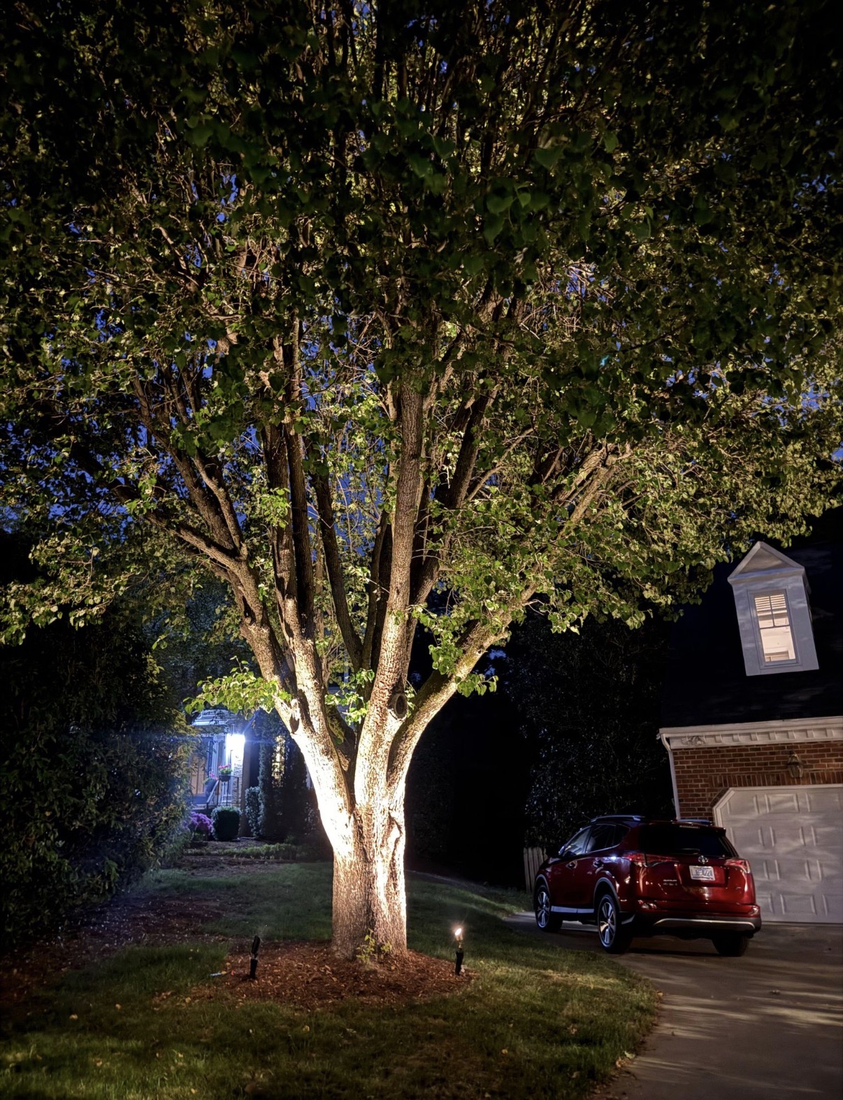 Tree uplighting in a residential landscape